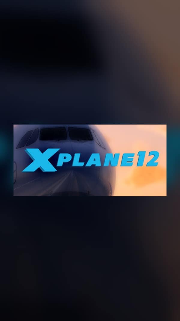 rental-professional-flight-simulator-12 Professional Flight Simulator 12 Steam Game Experience